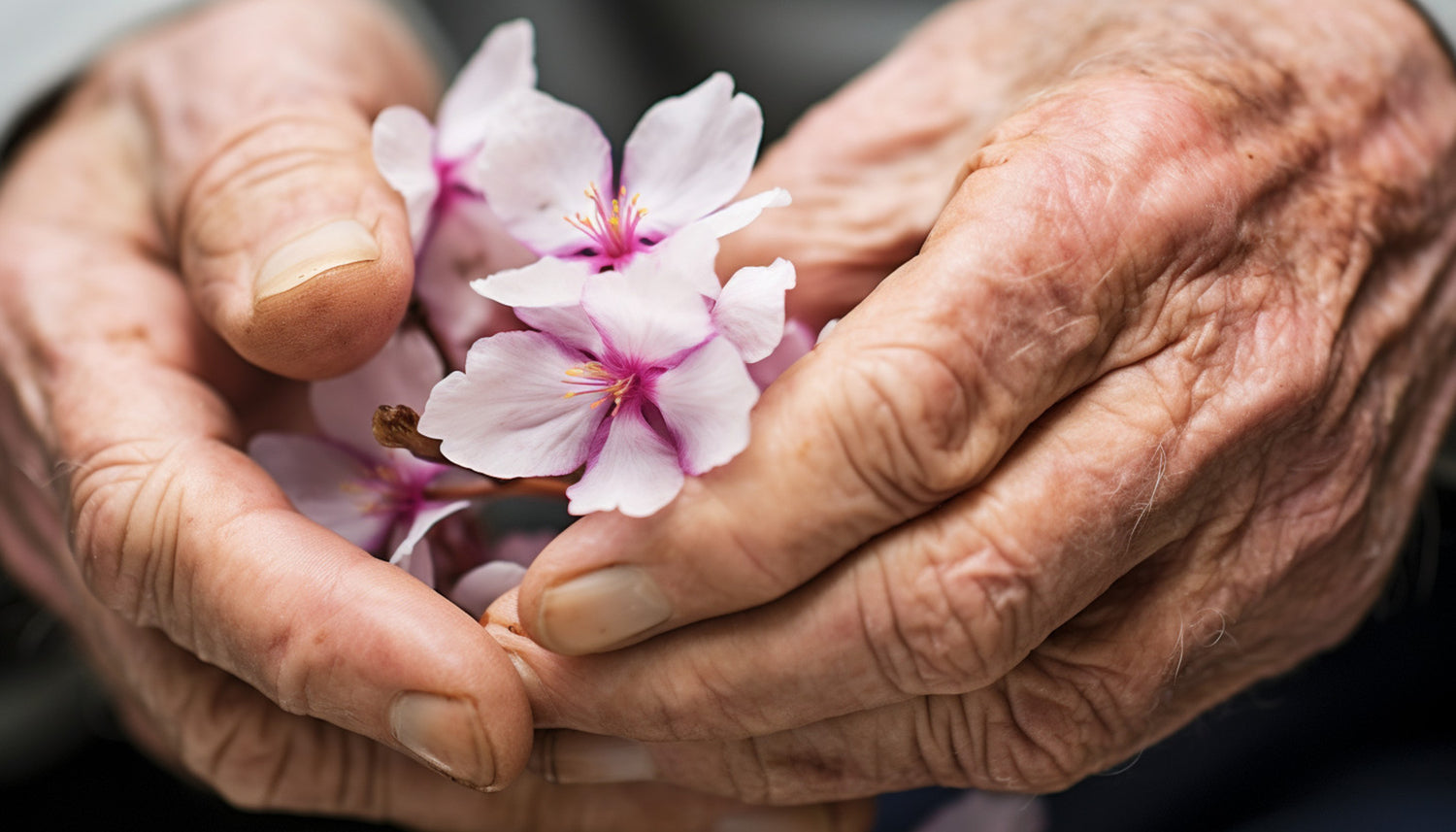 Close-up of elderly person’s hands illustrating the musky smell that can be associated with aging.